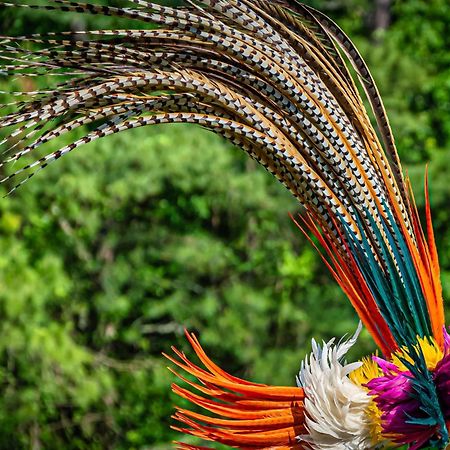 Caiman Lodge - Cuyabeno Nature Amazon Tour المظهر الخارجي الصورة