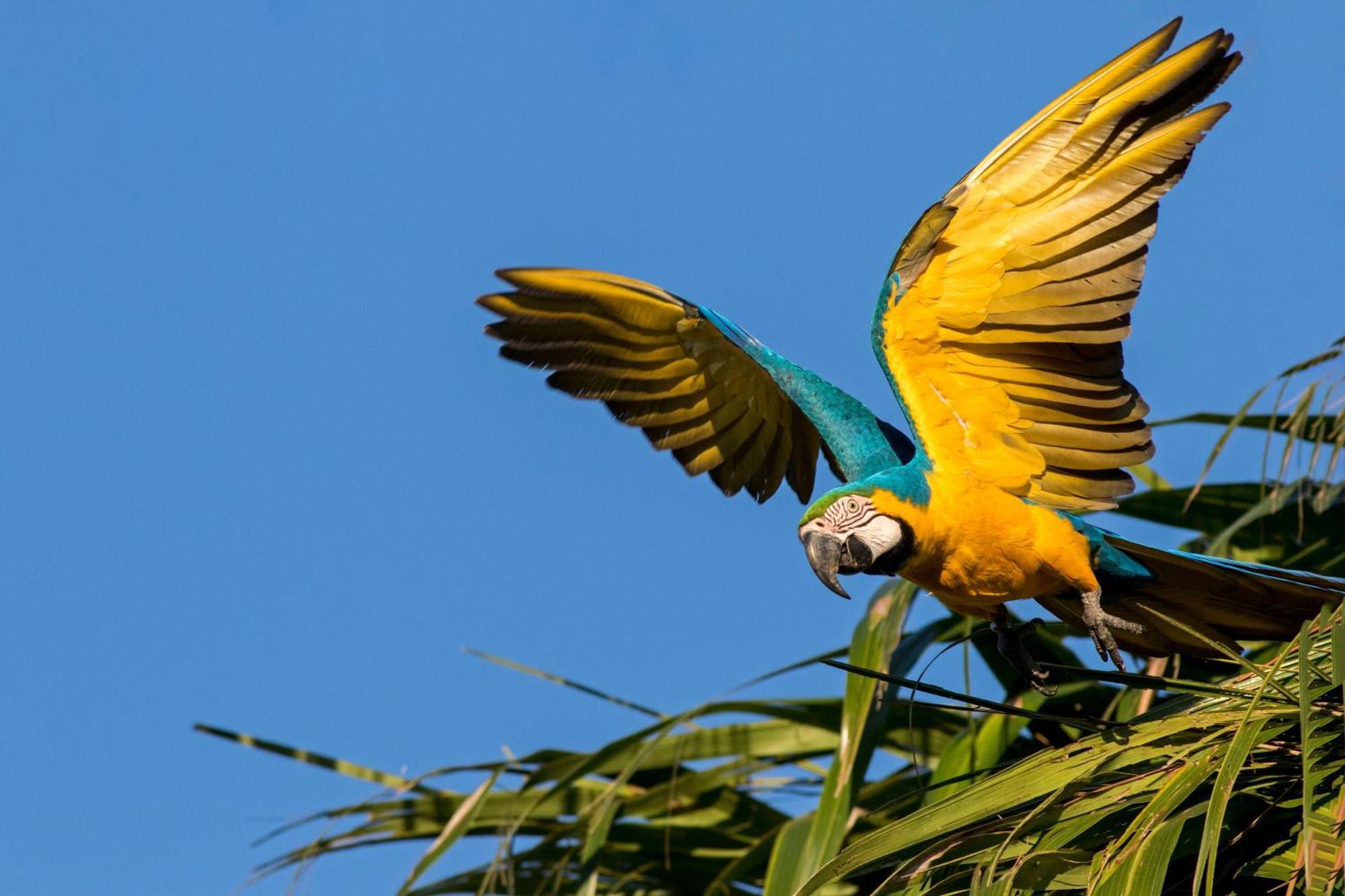 Caiman Lodge - Cuyabeno Nature Amazon Tour المظهر الخارجي الصورة