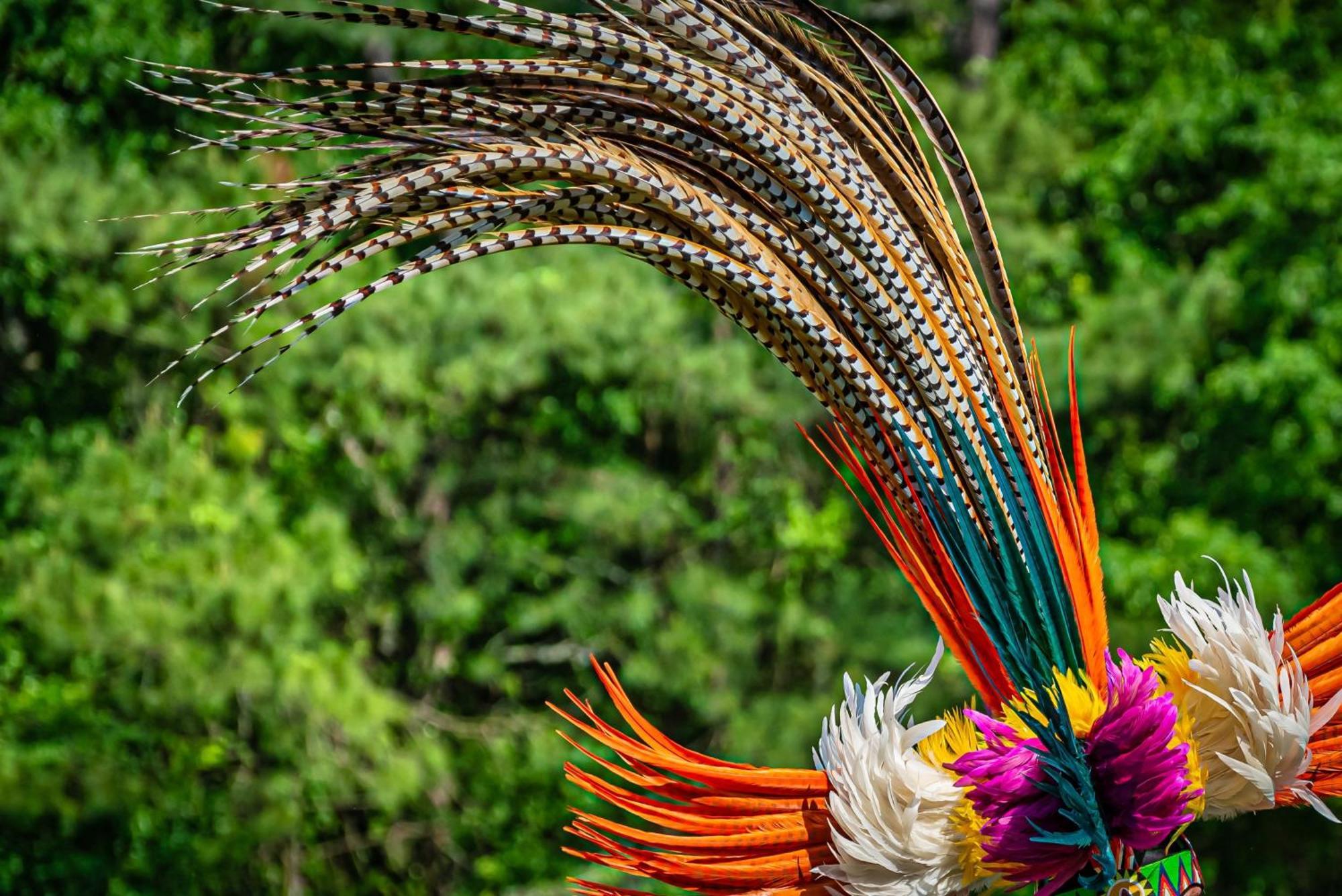 Caiman Lodge - Cuyabeno Nature Amazon Tour المظهر الخارجي الصورة