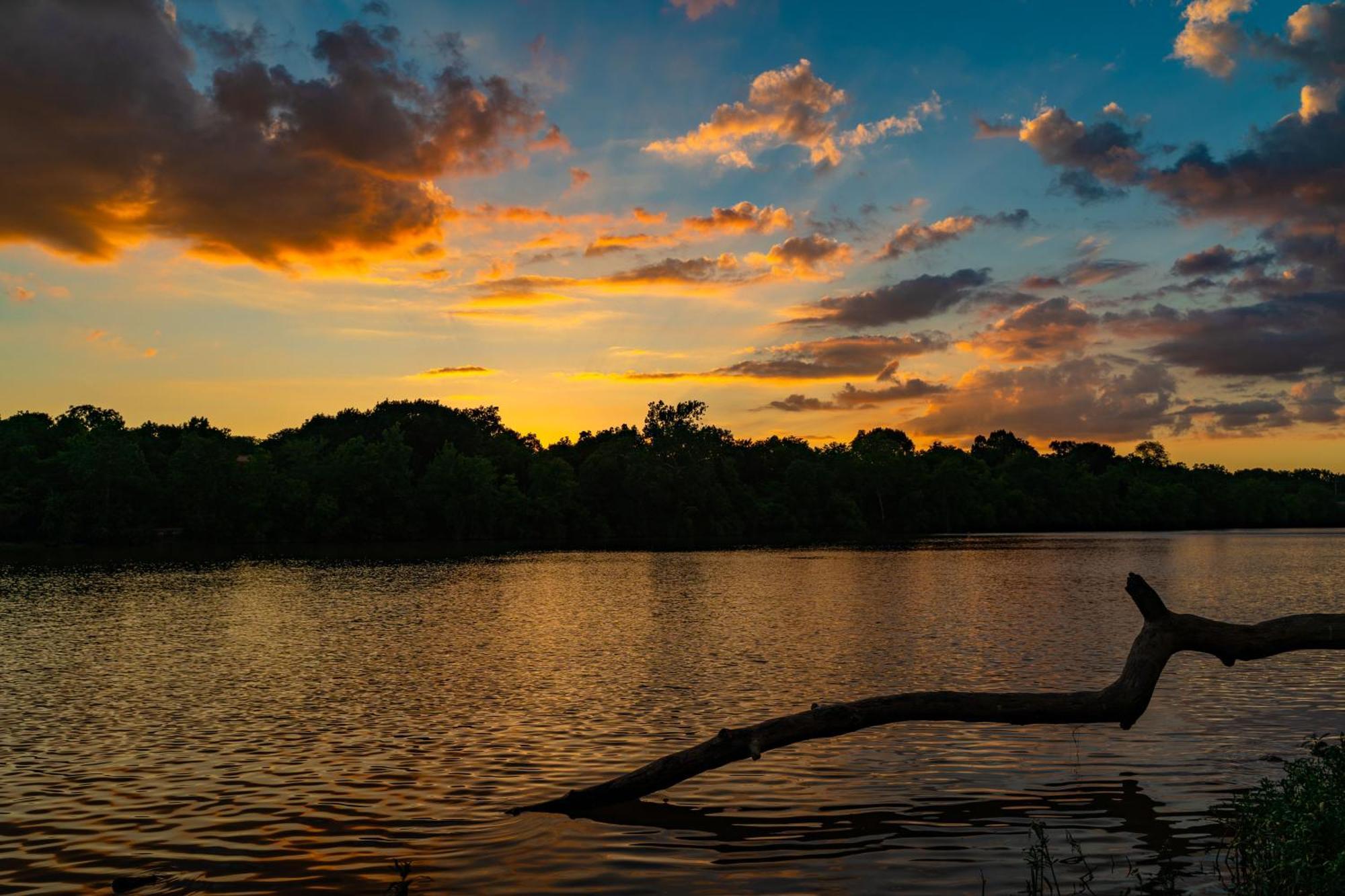 Caiman Lodge - Cuyabeno Nature Amazon Tour المظهر الخارجي الصورة